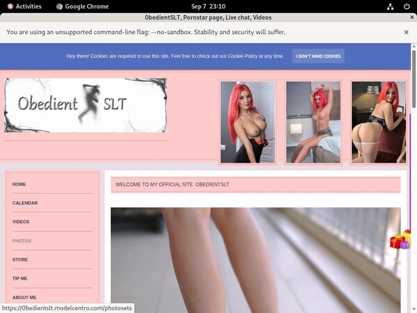 0bedientSLT Fxbilling