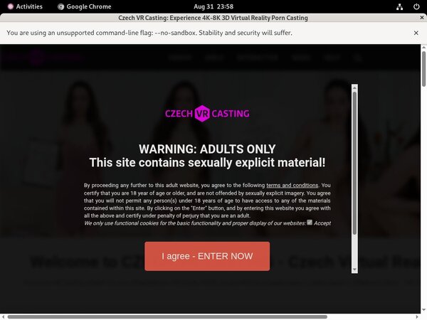 Accounts Czech VR Casting