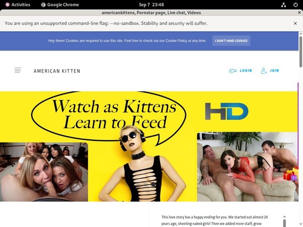 Americankittens Passwords Free