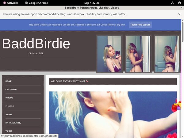 BaddBirdie Working Accounts