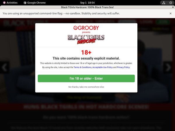 Black TGirls Hardcore Site Review