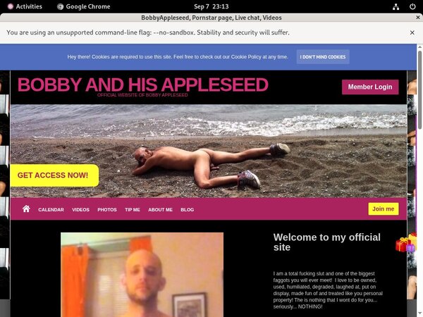 Bobbyappleseed Best Payporn