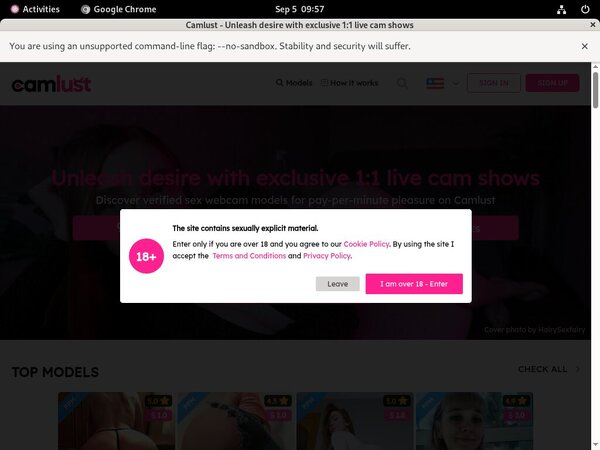 Camlust Free Movies