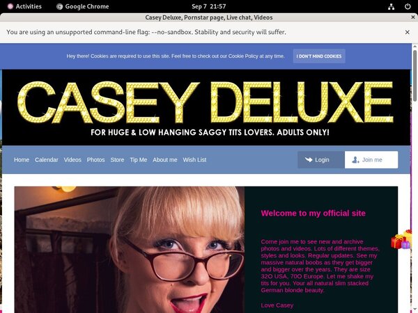 Casey Deluxe Porn Stars