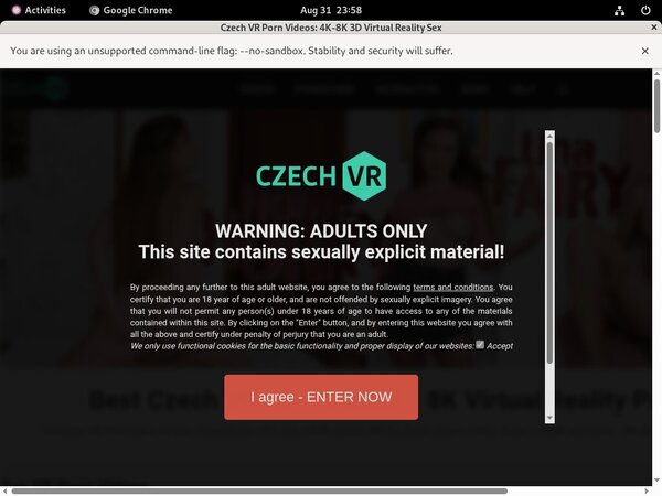 Czechvr Payment Methods