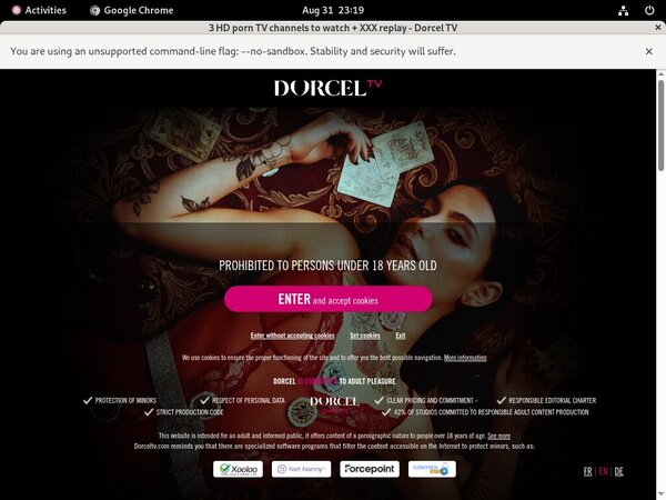 Dorcel Tv Stars