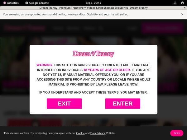 Dreamtranny With Bank Pay
