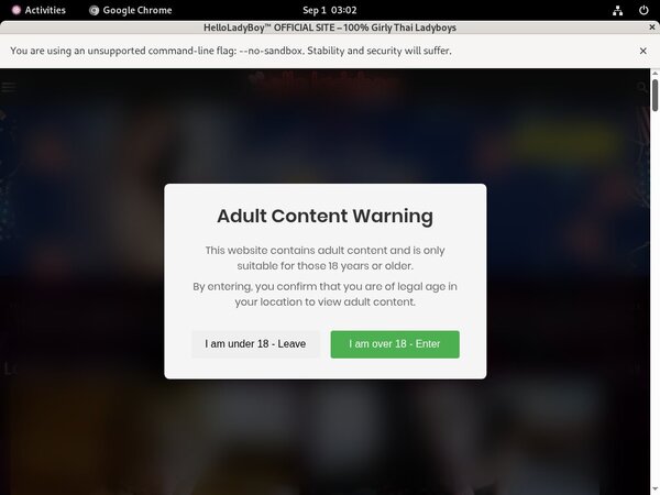 Free Hello Ladyboy Trailers