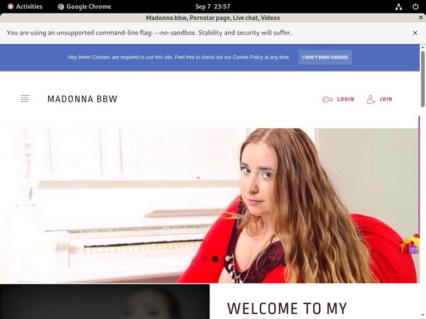 Get Into Winniepig Free