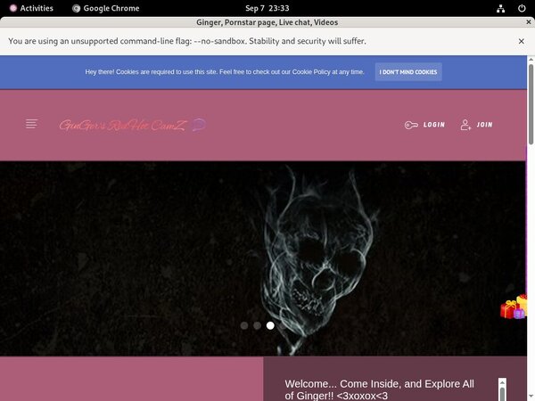 Ginger Discount Payment