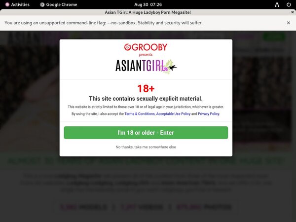 Ladyboy Ladyboy Accounts And Password