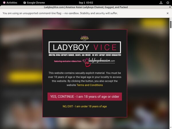 Ladyboy Vice Subscription