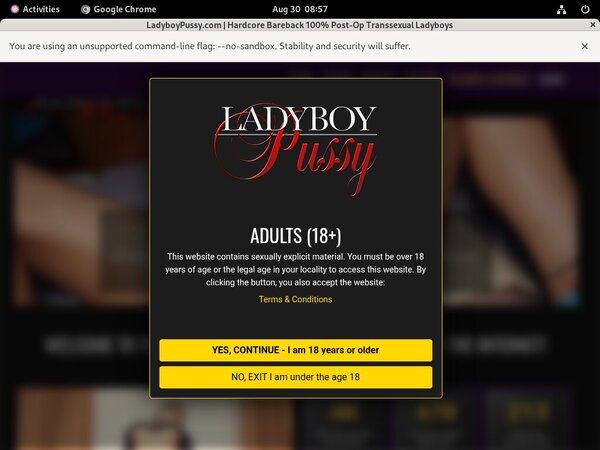 Ladyboypussy.com Limited Time Offer