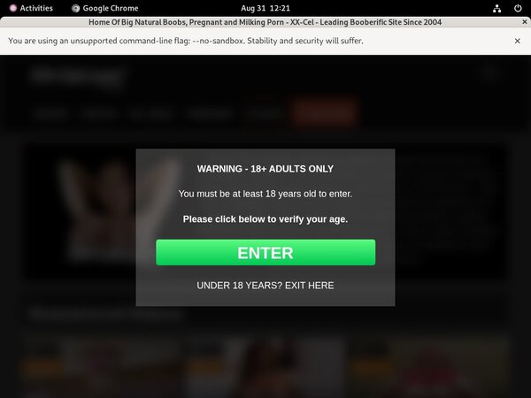 Log In Xxcel