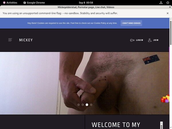 Mickeyelderstud.modelcentro.com Vendo