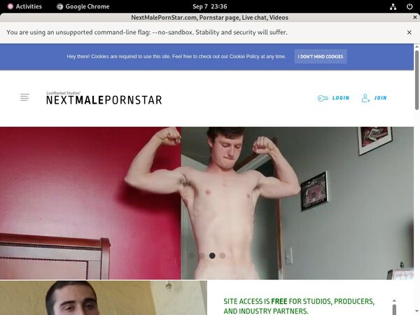 NextMalePornStar.com Reduced Rate
