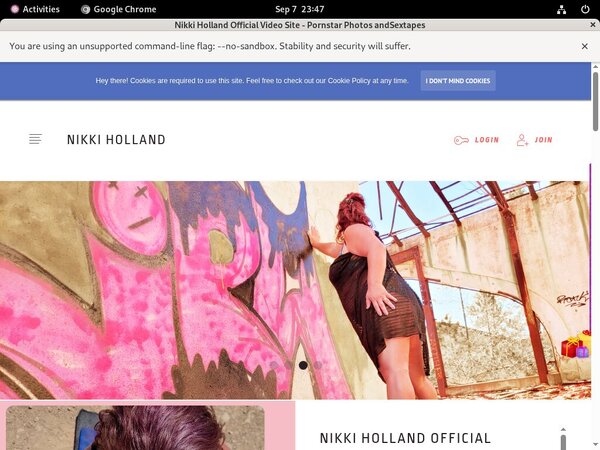 Nikkiholland.video With Online Check