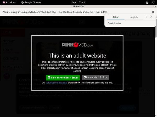 Pinkovod.com Webbilling
