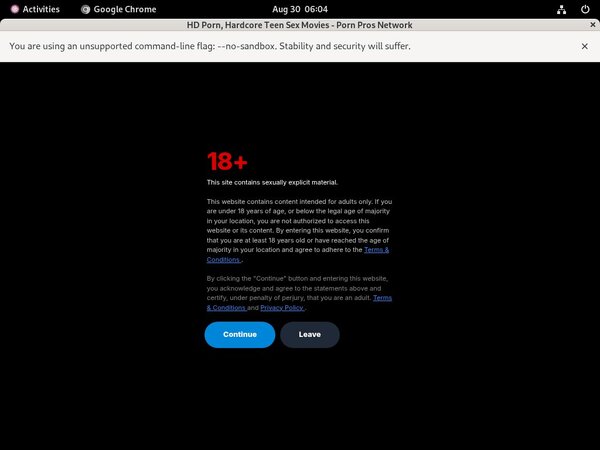 Porn Pros Network Free