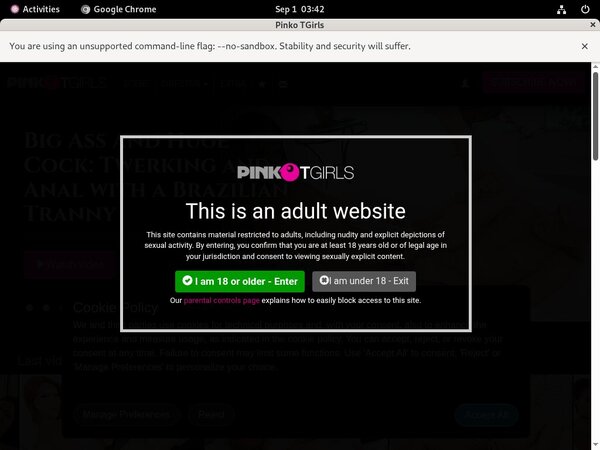 Premium Pinkotgirls Passwords