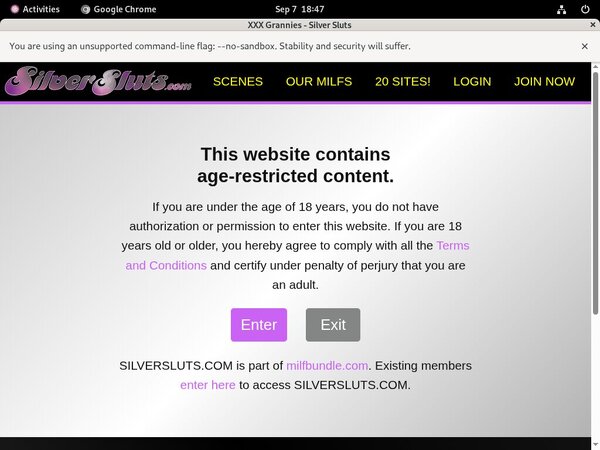 Sluts Silver Porn