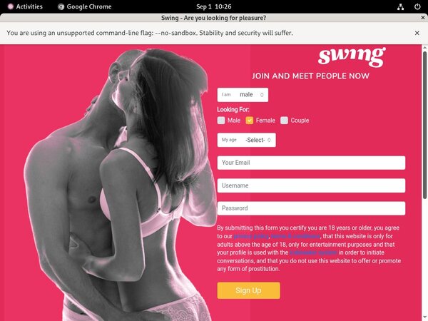 Swing.net Freies Konto