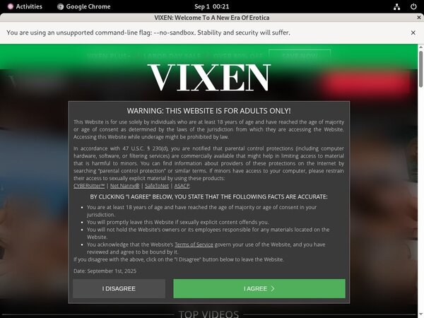 Vixen.com With Amex