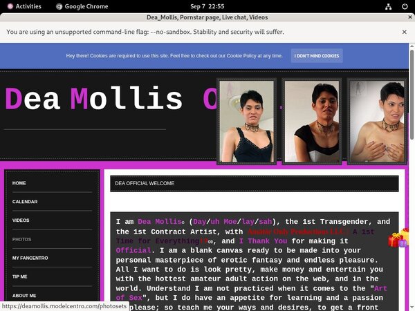Deamollis.modelcentro.com ??
