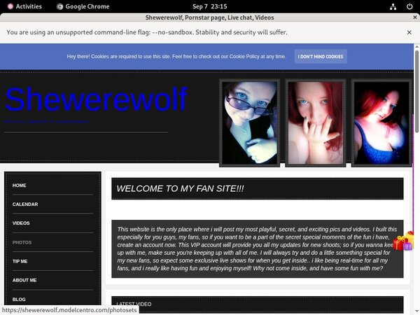 Discount Codes Shewerewolf