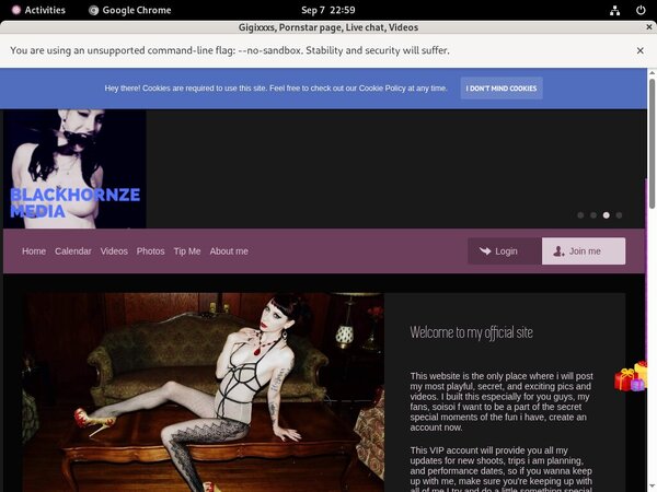 Gigixxxs Site Passwords