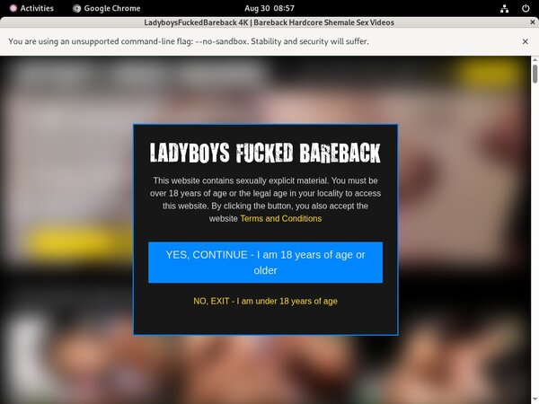 Ladyboys Fucked Bareback Eu Debit