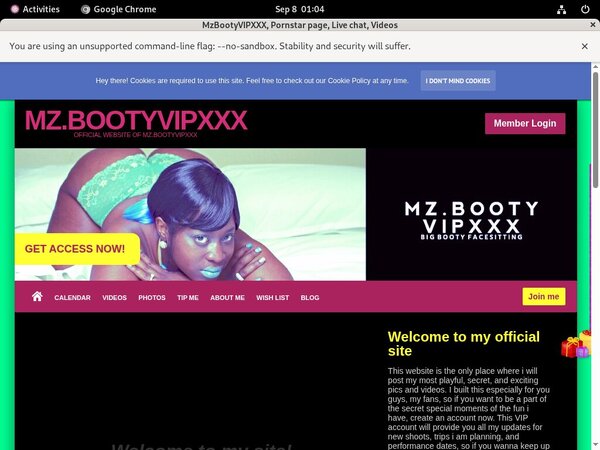 Mzbootyvipxxx.modelcentro.com Passwords 2016