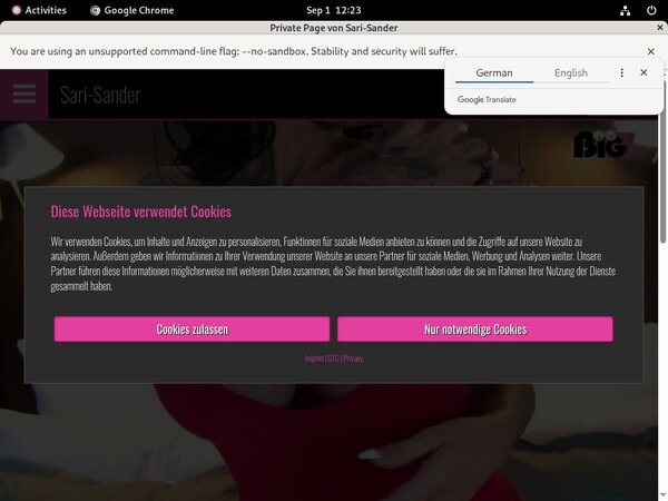 Passwords To Sari Sander