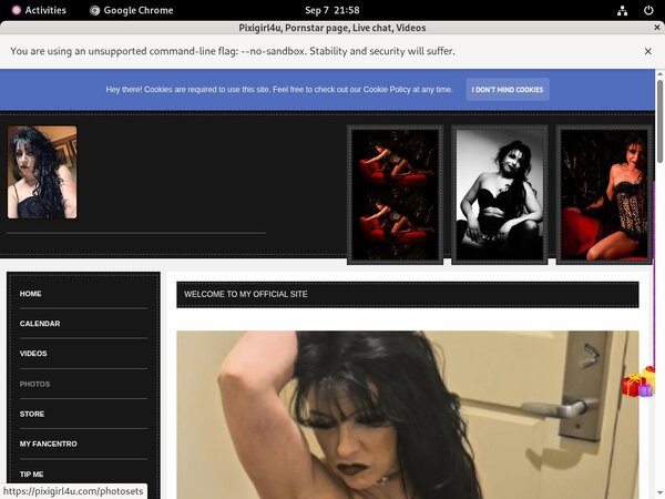 Pixigirl4u.com Gallaries
