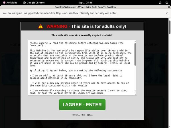 Swallow Salon Xvideos