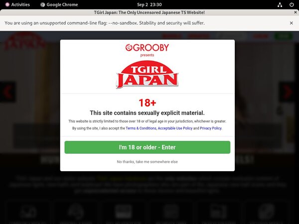TGirl Japan Latex