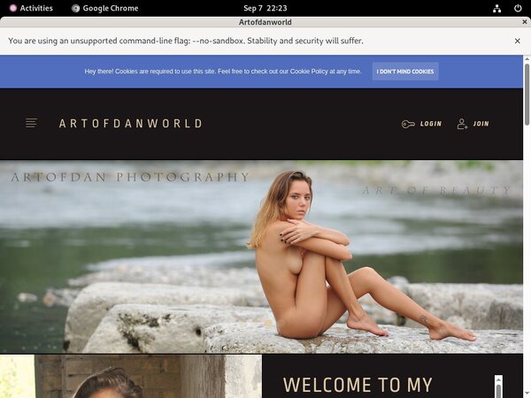 Trial Artofdanworld.com Account
