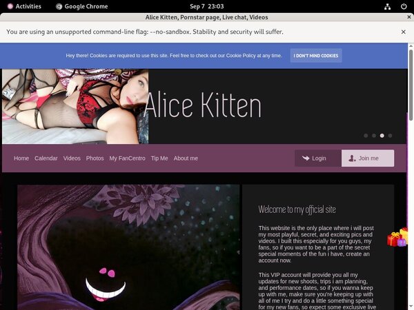 Discount Trial Alice Kitten Discount Trial Alice Kitten