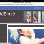 BaddBirdie Working Accounts