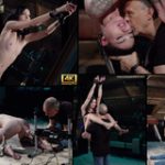 Get Subspaceland Free Login