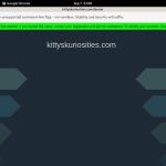 Kitty’sKuriosities Premium Account Login