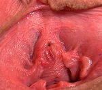 Gape My Pussy Free Code